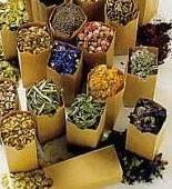 Вопросы культивирования и заготовки лекарственных растений и лекарственного растительного сырья